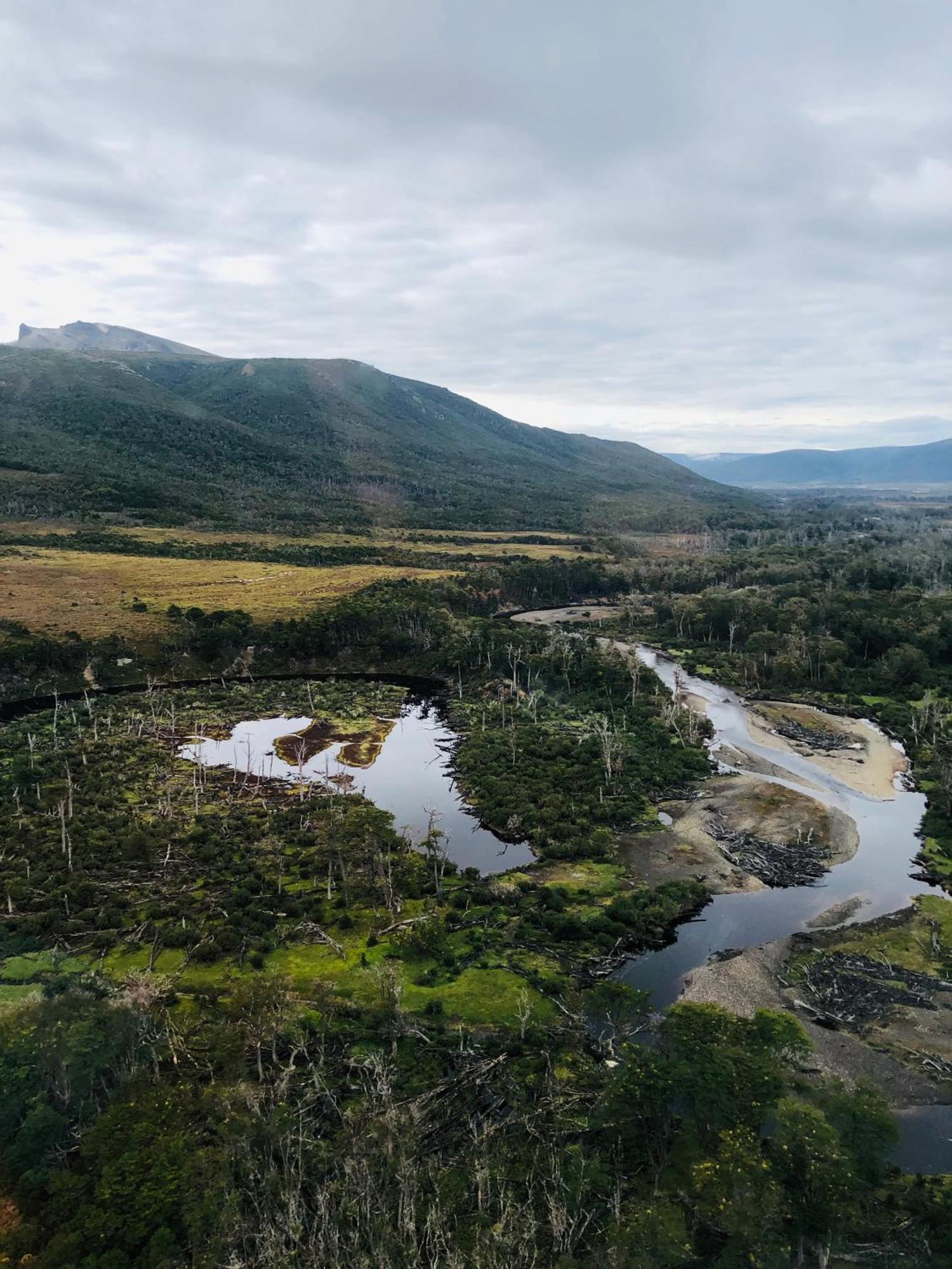 Mirando Al Canal Ushuaia Dış mekan fotoğraf
