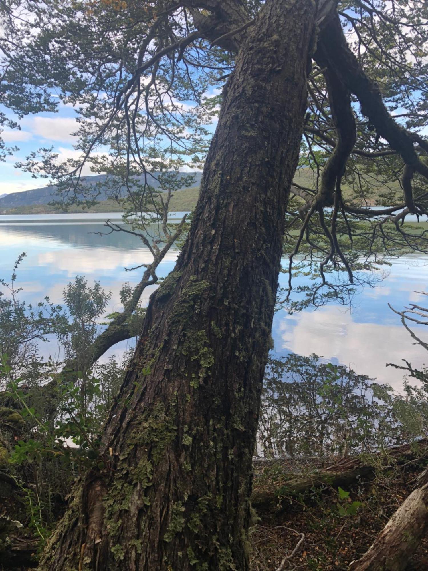 Mirando Al Canal Ushuaia Dış mekan fotoğraf